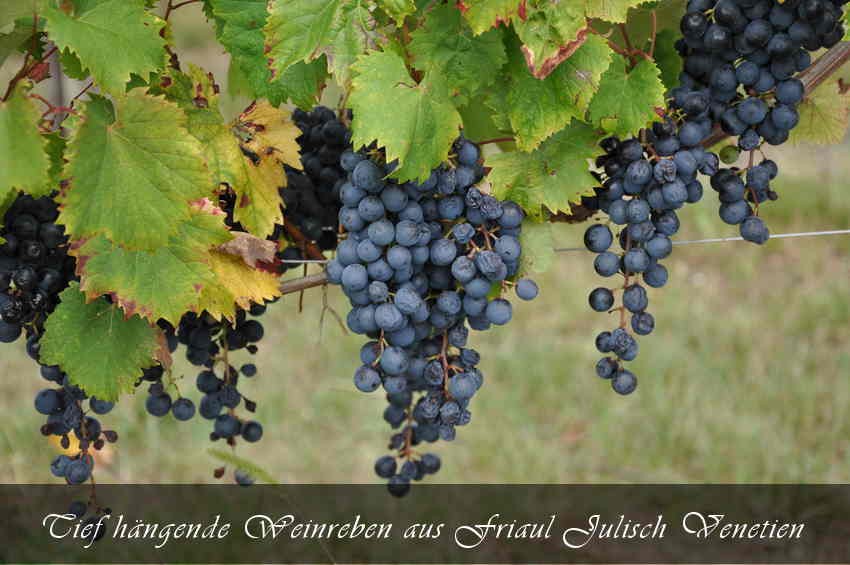 Friaul-Julisch Venetien Friaul-Julisch Venetien