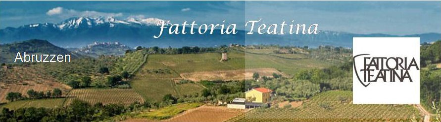 Fattoria Teatina Fattoria Teatina