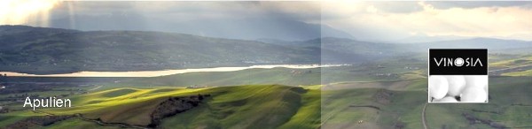 Vinosia Aziende Agricole Vinosia Aziende Agricole