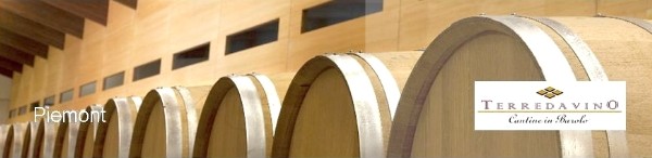 Terre da Vino - Vite Colte Terre da Vino - Vite Colte