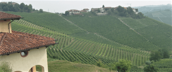 Marchese Alfieri Marchese Alfieri