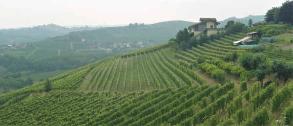 Nino Negri Nino Negri