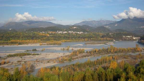 Emilio Bulfon Emilio Bulfon