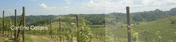 Cantine Cellaro Cantine Cellaro