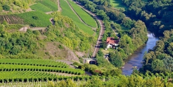 Christian Bamberger - Steinhardter Hof Christian Bamberger - Steinhardter Hof