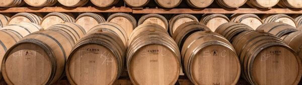 Cantina Tollo Cantina Tollo