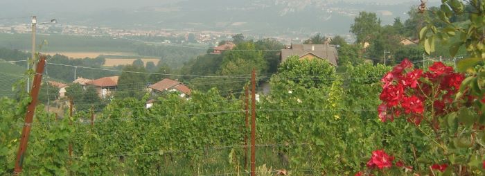 Marchesi di Barolo Marchesi di Barolo