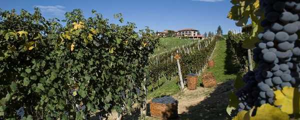 Cà dei Frati Cà dei Frati