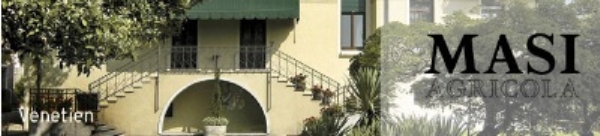 Masi Masi