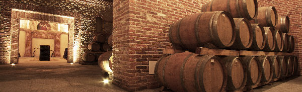 Mottura - Vini del Salento Mottura - Vini del Salento