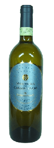 Gavi di Gavi DOCG Masseria dei Carmelitani 2023, Vite Colte