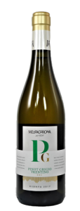 Pinot Grigio Trentino DOC Riserva 2021,  Mezzacorona