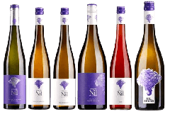 Entresierras Algairen Tempranillo Bodegas Pablo