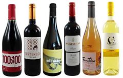 Entresierras Algairen Tempranillo Bodegas Pablo